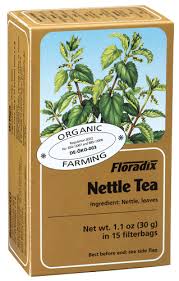 Buy floradix nettle teabag