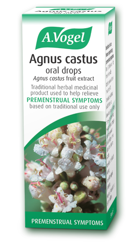 Buy Agnus cactus Dublin