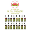Buy Australian Bush Flowers Combination Essence