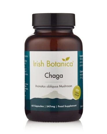 Buy Organic Chaga mushroom Dublin